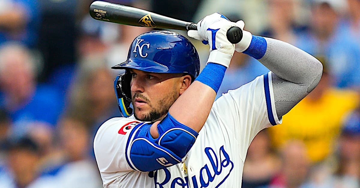 What Do Hitters See, and When Do They See It? What Do Hitters See, and When Do They See It?